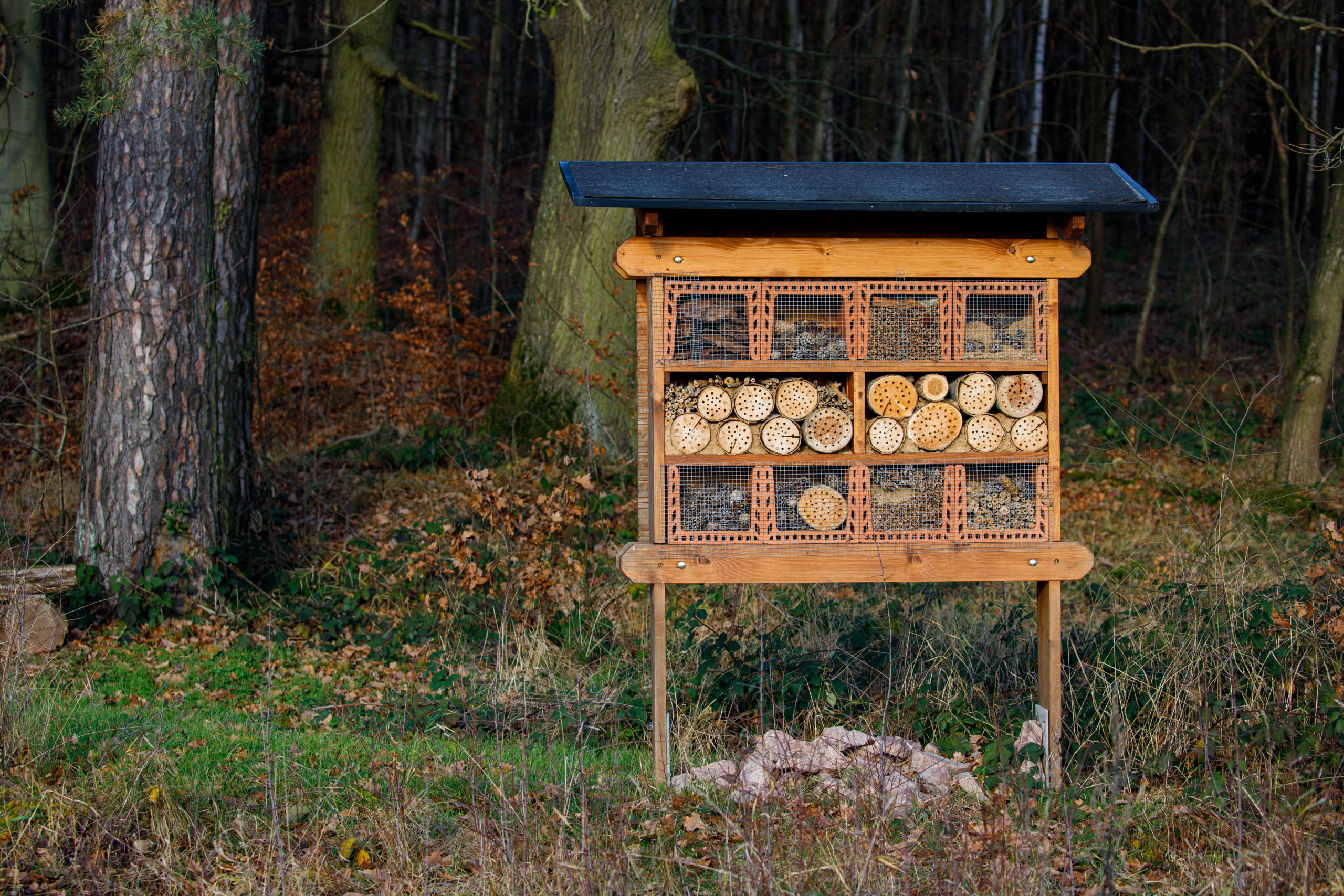 Wildbienenhotel selber bauen