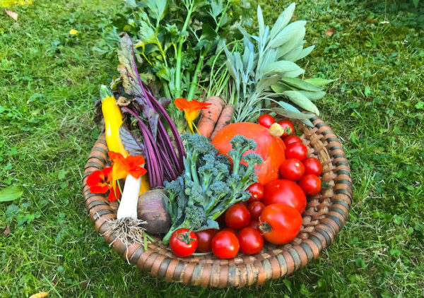 Gemüsegarten mieten München