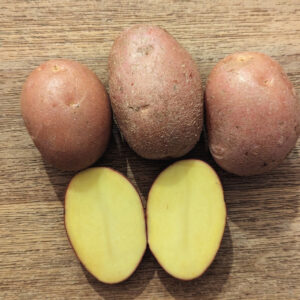 Laura Kartoffeln kaufen