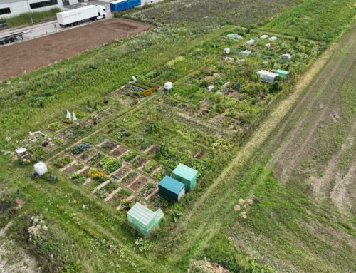 Gemüsegarten mieten München 2026